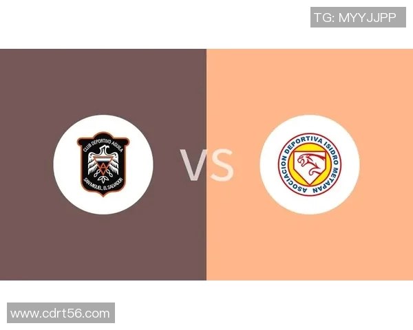 梅塔帕与亚古雷的精彩对决揭示足球战术与团队协作的完美结合